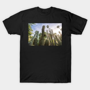 Cactus and tropical palms in Majorelle Garden T-Shirt